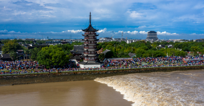 潮启·焕乐观潮季